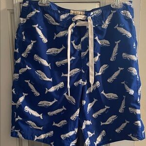 Abercrombie & Fitch Blue Whale Print Board Shorts